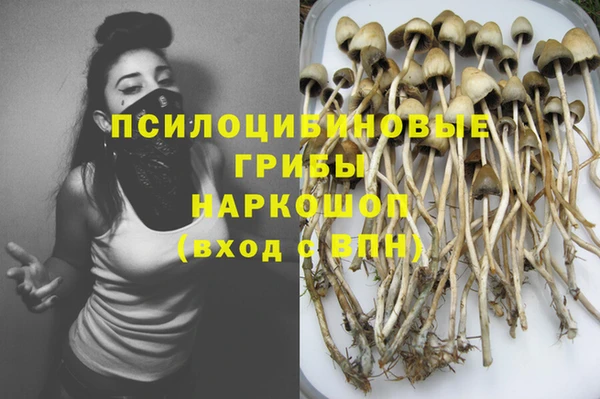 соль ск Тутаев