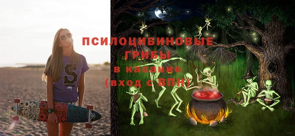 соль ск Тутаев