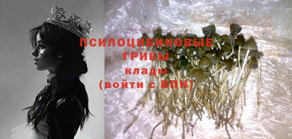 круглые Тында