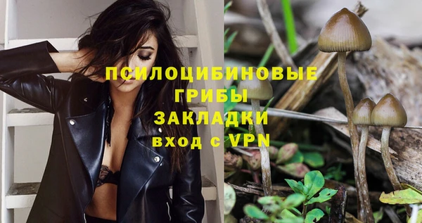 круглые Тында