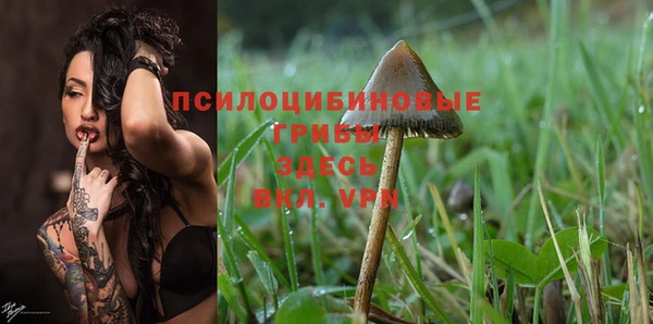 jwh Туринск