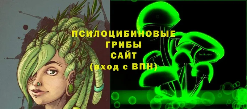 Псилоцибиновые грибы Psilocybe  Томск 