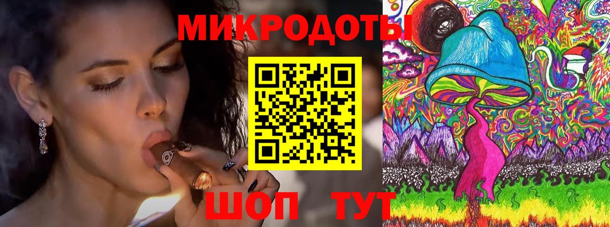 Псилоцибиновые грибы Psilocybine cubensis Томск