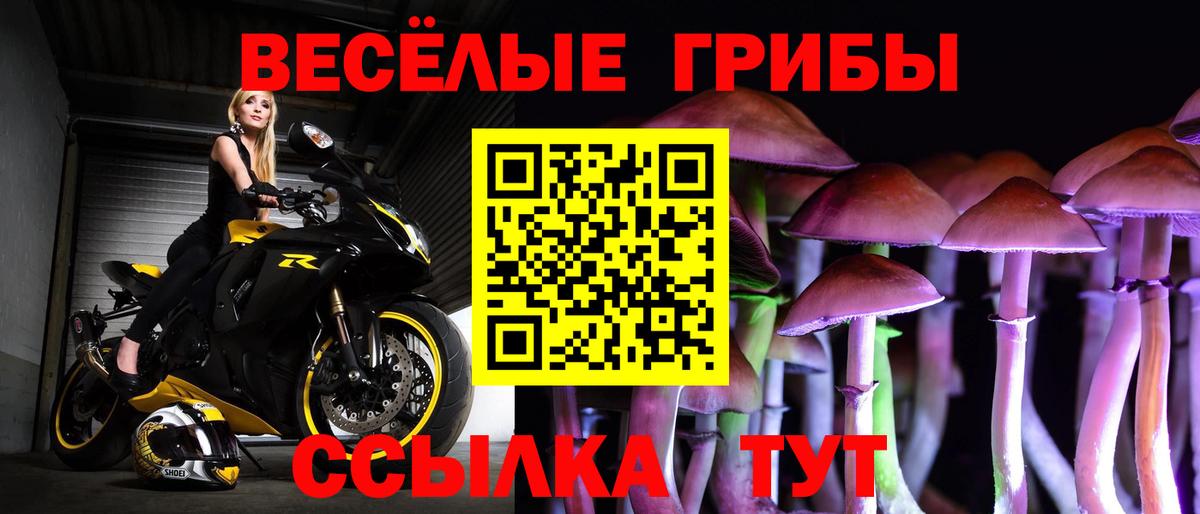 Псилоцибиновые грибы прущие грибы  Псилоцибиновые грибы MAGIC MUSHROOMS  Вход с VPN  Томск 