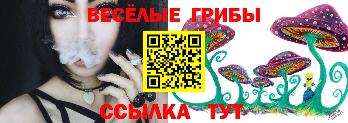 Псилоцибиновые грибы Psilocybe Томск